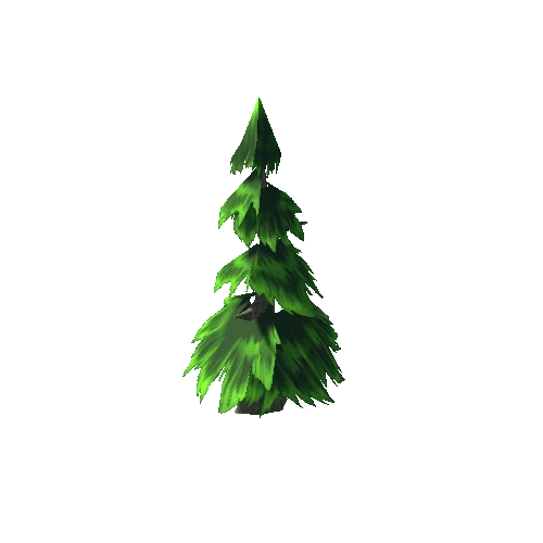 Pine 1